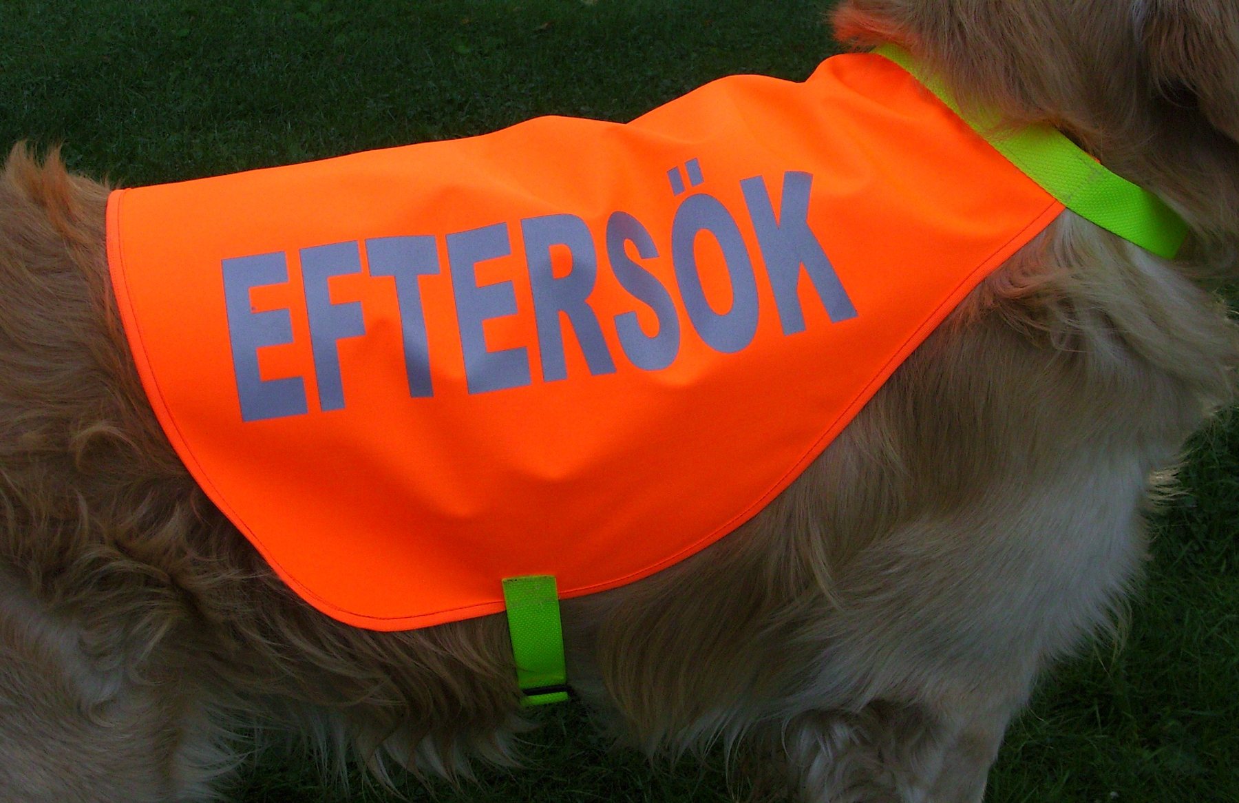 Väst för eftersökshund art. 62