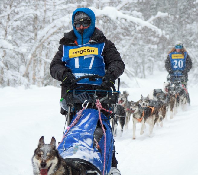 Amundsen Race 2018 — nr 17 Julian och nr 20 Uxue Zufiaurre, båda 12 spann.