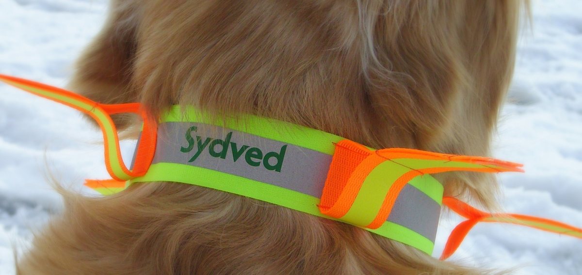 Sydved AB — hundhalsband ReflexWing för jakt och vardagspromenader.